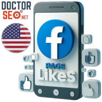 FACEBOOK LIKES - USA